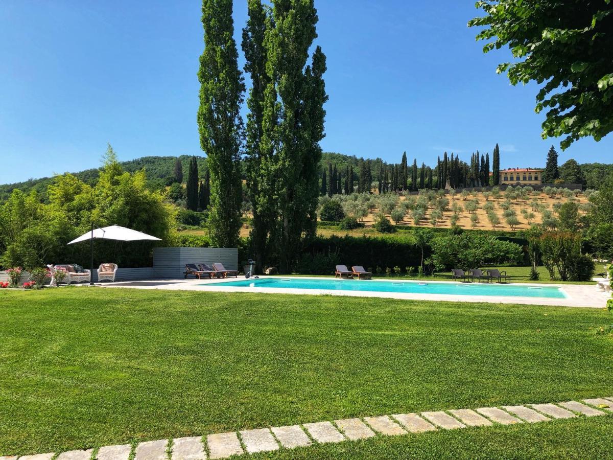 I Cipressi *