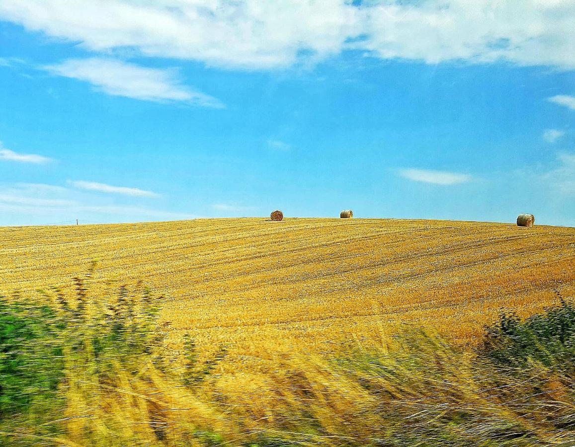 I Cipressi Arezzo
